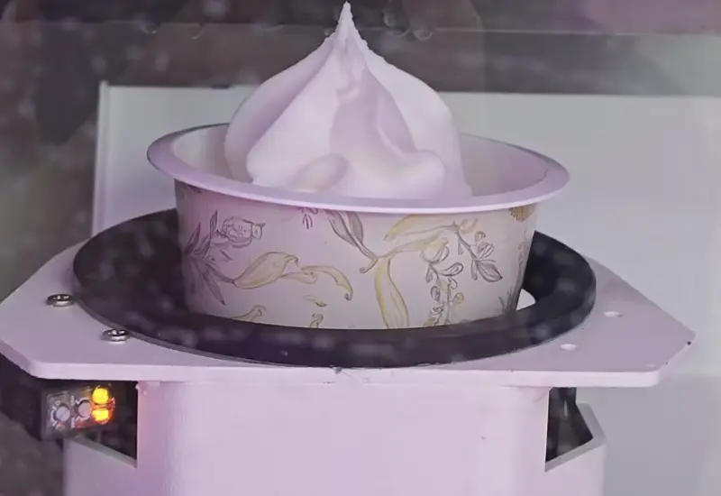 Vending Machine Innovation Reshape Gelato al dettaglio (3)